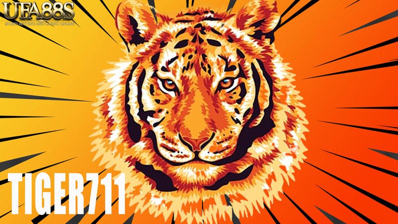 Tiger711